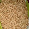 Cooksnap dari Ummu El untuk resep Kacang Bawang Renyah (kering tidak berminyak)
