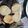 Anu singh's cooksnap of when they made Wheet flour pudi.