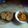 Cooksnap dari Nur Anhae untuk resep Roti Canai Aca Aca Simple