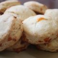 Mommyluvs2cook's cooksnap of when they made Three Cheese Buttermilk Biscuits.