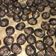 Cooksnap dari Atni Susi untuk resep Cookies chococrunch/chocochip