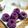 Cooksnap dari Nur Erma untuk resep Puding Hunkwe