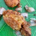 Cooksnap dari Dewi Handayani untuk resep Ayam Goreng Bawang Putih khas Batam