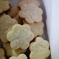 El cooksnap de Virginia Lungo cuando hizo Galletitas fáciles.