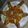Jharna Shaoo's cooksnap of when they made রসুন ট্যাংরা (rosun tangra recipe in Bengali).