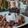 Cooksnap dari cahya rini untuk resep Ice Cream Susu Murni
