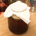 Lloyd David's cooksnap of when they made Kombucha from the garage lab.