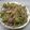 Chia Chi Liu 的 青椒炒肉絲★okane cooksnap