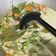 Cooksnap dari eby beebee untuk resep Gulai tauco buncis khas minang