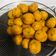 Cooksnap dari indimalik untuk resep Sala Lauak (Khas Minang)