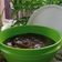 Cooksnap dari Luke Nawa untuk resep Selai coklat, Cocoa powder