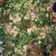 El cooksnap de Alejandro Ramos Martinez cuando hizo Ensalada de espinacas y tocino.