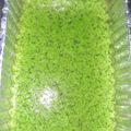 Cooksnap dari Bela Karisma Negara untuk resep Puding Lumut Pandan