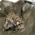 Cooksnap dari ireine b. untuk resep Pepes ikan mas