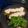 El cooksnap de Celeste Lopardo cuando hizo Milanesa de zuchini a la napolitana con ensalada.
