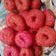 Cooksnap dari fitri_rahayu untuk resep Donat Buah Naga Merah