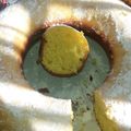 El cooksnap de Kehary Bertalot cuando hizo Torta de naranja.