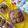 Cooksnap dari Siva Alesha_Kitchen untuk resep Cookies palm sugar