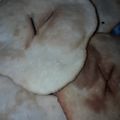 El cooksnap de Karina cuando hizo Torta fritas.