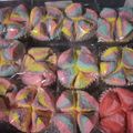 Cooksnap dari Rina Lestari untuk resep Bolu kukus mekar unicorn