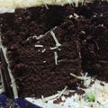 Cooksnap dari Veronica Yuliawati untuk resep 35. Blackforest Panggang