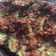 Cooksnap dari Cooking with Ay untuk resep Terong penyet super pedas