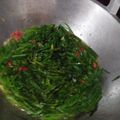 Cooksnap dari Edo Suryanto untuk resep Tumis Kangkung favorit keluarga.
