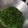 Cooksnap dari Edo Suryanto untuk resep Tumis Kangkung favorit keluarga.
