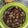 Cooksnap dari Susan Susanah untuk resep Kerang Dara Saus Tiram