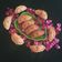 Aanal Avashiya Chhaya's cooksnap of when they made ઘૂઘરા (Ghughra Recipe In Gujarati).