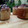 El cooksnap de Karen Martinez cuando hizo 🍾🎉🌟Pan Dulce🌟🎉🍾.