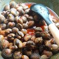 Cooksnap Nurul Natassha Bakar semasa beliau membuat Kerang sambal.