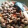 Cooksnap Nurul Natassha Bakar semasa beliau membuat Kerang sambal.