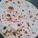 Payal का कुकस्नैप जब उन्होंने गेहूं चना की रोटी (gehu chan ki roti recipe in Hindi) बनाया था।