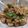 Cooksnap dari angelica mariantine untuk resep Tahu tumis ayam taoco
