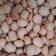 Cooksnap dari deadira untuk resep Kacang telur gurih