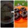 Cooksnap dari Dapur Mama Vi-Ra untuk resep Coklat Ganache Simple