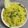 Dr. Pushpa Dixit's cooksnap of when they made Raw Mango Rice.