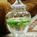 صورة من روفي، شاركها بعد تجربة وصفة ديتوكس الليمون (شراب الماء المنعش) 🍋🌿💦