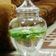 صورة من روفي، شاركها بعد تجربة وصفة ديتوكس الليمون (شراب الماء المنعش) 🍋🌿💦