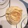 Cooksnap de Mamounette sur la recette Thon escargot