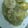 El cooksnap de Mari Gómez Rodríguez cuando hizo Medallones de merluza en salsa verde.