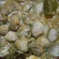 Cooksnap dari defika aufa untuk resep Kerang asam manis