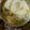 El cooksnap de jimena tejeda cuando hizo Pastel de papas económico.