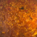 El cooksnap de Ángela cuando hizo Arroz meloso con verduras, champiñones y pollo.