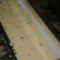 El cooksnap de Candelaria Maiyanel cuando hizo Budín de vainilla y chips de chocolate (húmedo).