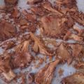 Cooksnap από Strata Al. στη συνταγή Μανιτάρια πλευρώτους