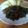 El cooksnap de María cuando hizo Setas al Ajillo (Menú Vegano).