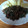 El cooksnap de María cuando hizo Setas al Ajillo (Menú Vegano).