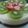 Cooksnap của NgaLe khi họ làm theo món Rau câu flan